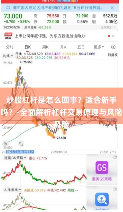 炒股杠杆是怎么回事？适合新手吗？-全面解析杠杆交易原理与风险